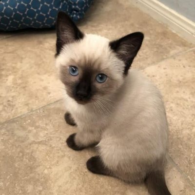 WhatsApp Image 2026-01-15 at 15.12.42 (1)