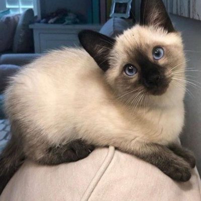 WhatsApp Image 2026-01-15 at 15.12.42