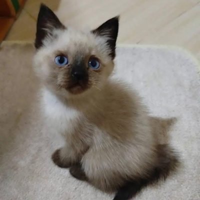 WhatsApp Image 2026-01-15 at 15.12.43 (1)