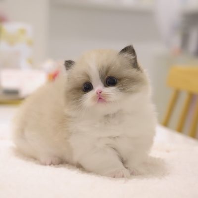 WhatsApp Image 2026-01-15 at 15.12.44