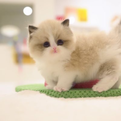 WhatsApp Image 2026-01-15 at 15.12.45 (1)