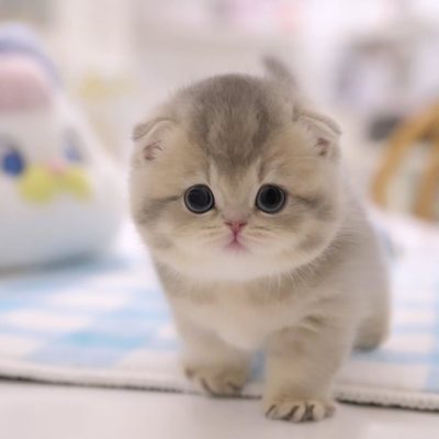 WhatsApp Image 2026-01-15 at 15.12.46 (1)