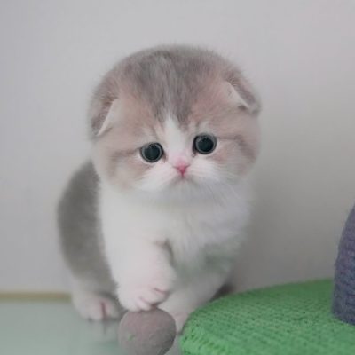 WhatsApp Image 2026-01-15 at 15.12.46