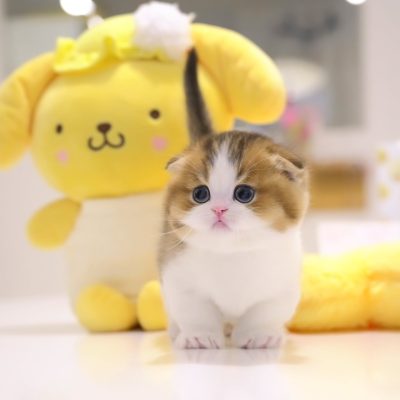 WhatsApp Image 2026-01-15 at 15.12.48 (1)