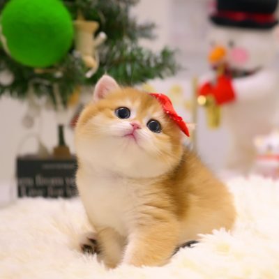 WhatsApp Image 2026-01-15 at 15.12.48 (2)