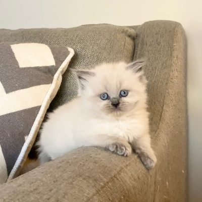 WhatsApp Image 2026-01-15 at 15.12.49