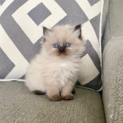 WhatsApp Image 2026-01-15 at 15.12.50