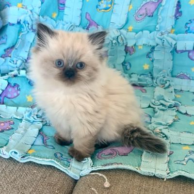 WhatsApp Image 2026-01-15 at 15.12.51 (2)