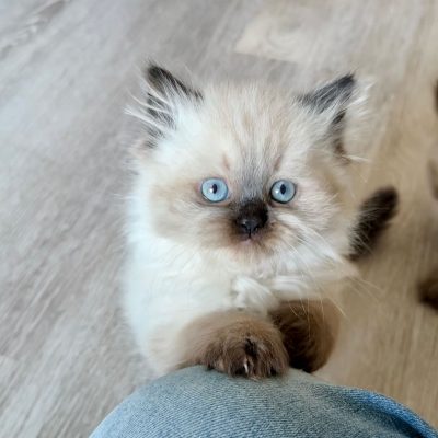 WhatsApp Image 2026-01-15 at 15.12.51 (3)