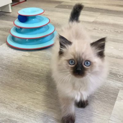 WhatsApp Image 2026-01-15 at 15.12.52