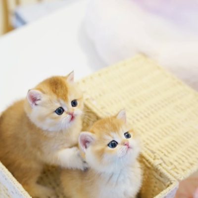 WhatsApp Image 2026-01-15 at 15.12.53 (1)