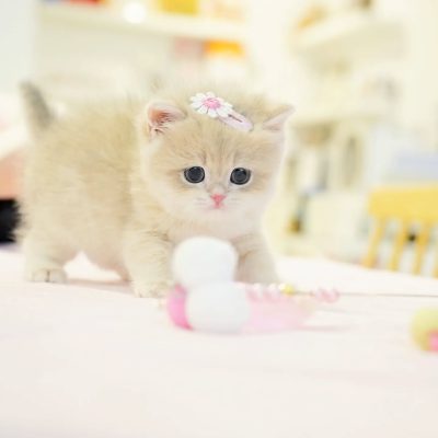 WhatsApp Image 2026-01-15 at 15.12.53 (2)