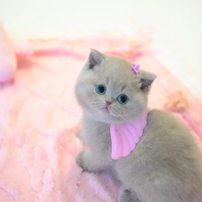 WhatsApp Image 2026-01-15 at 15.12.53