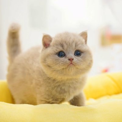 WhatsApp Image 2026-01-15 at 15.12.54 (1)