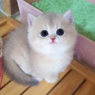 WhatsApp Image 2026-01-15 at 15.12.54