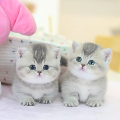 WhatsApp Image 2026-01-15 at 15.12.55