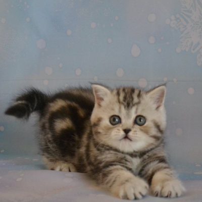 WhatsApp Image 2026-01-15 at 15.13.01 (3)