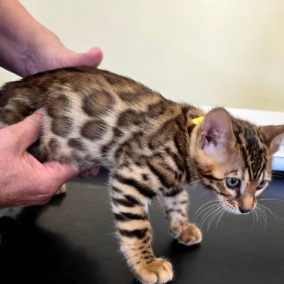 WhatsApp Image 2026-01-15 at 15.13.02