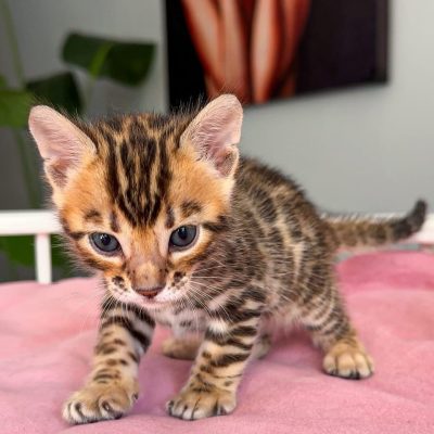 WhatsApp Image 2026-01-15 at 15.13.03 (2)