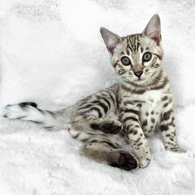 WhatsApp Image 2026-01-15 at 15.13.03